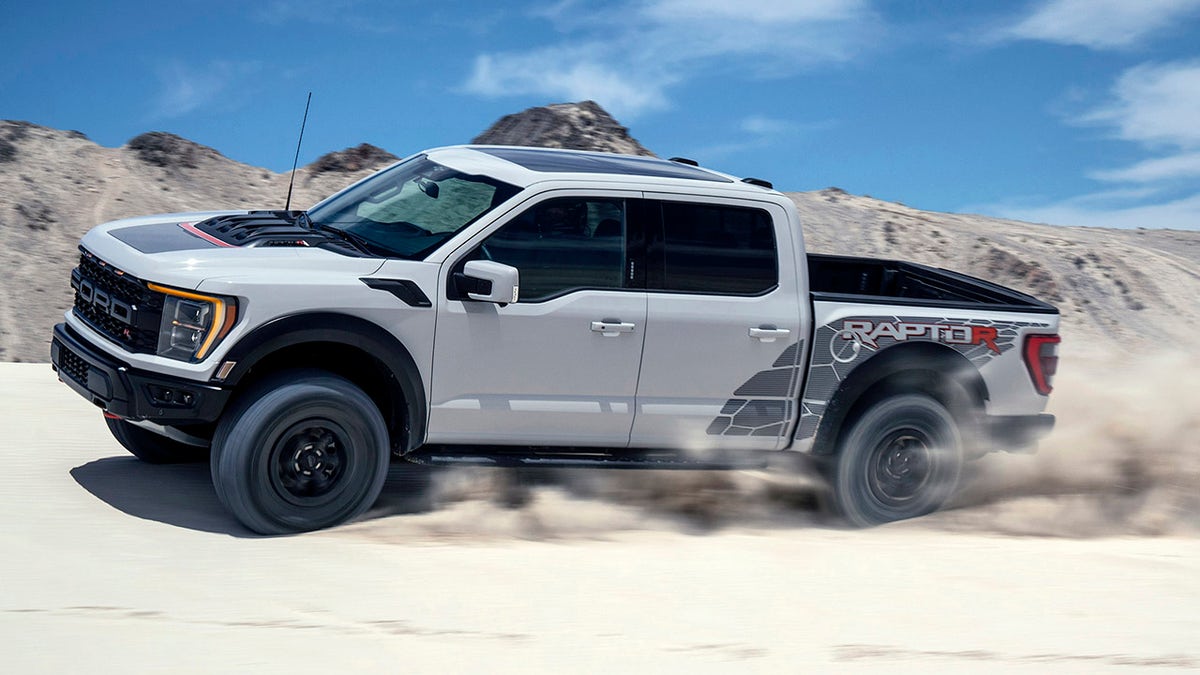 raptor profile