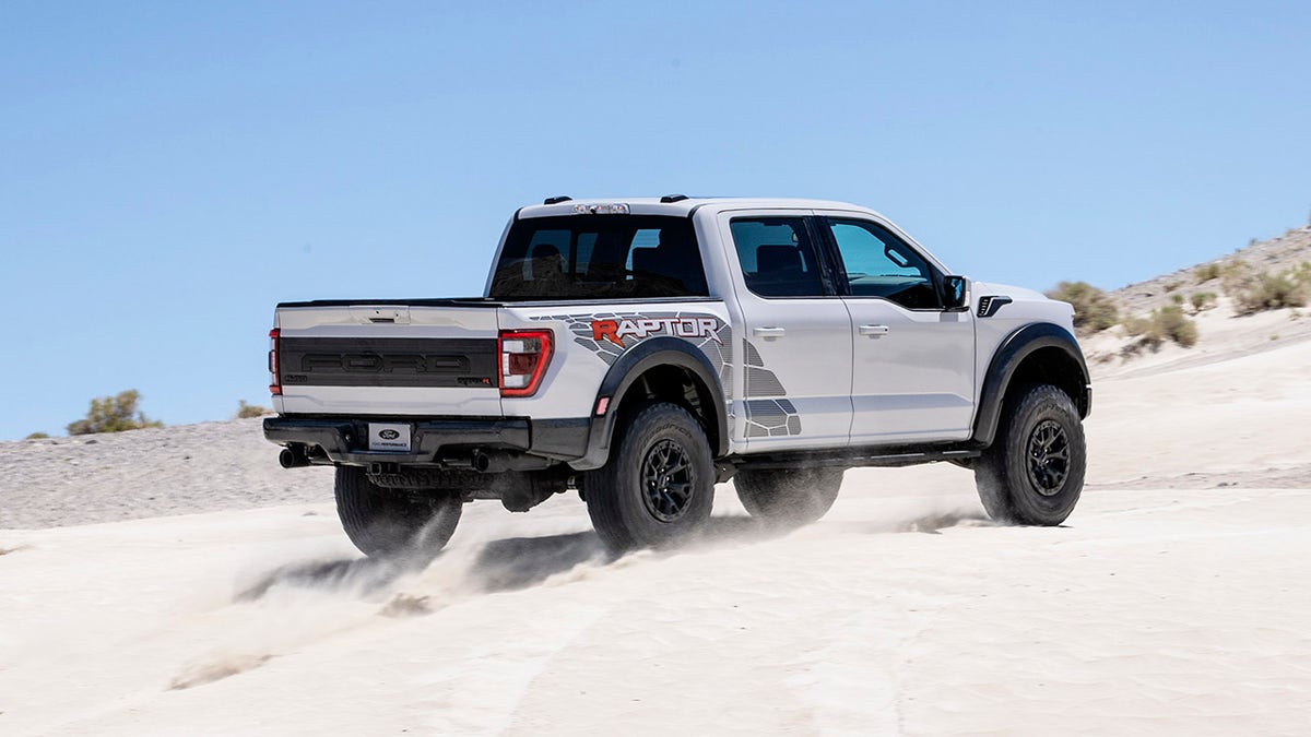 raptor rear
