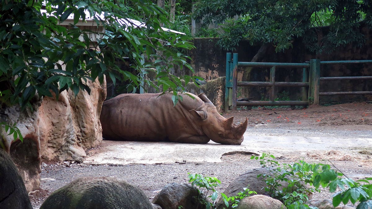 Puerto Rico zoo