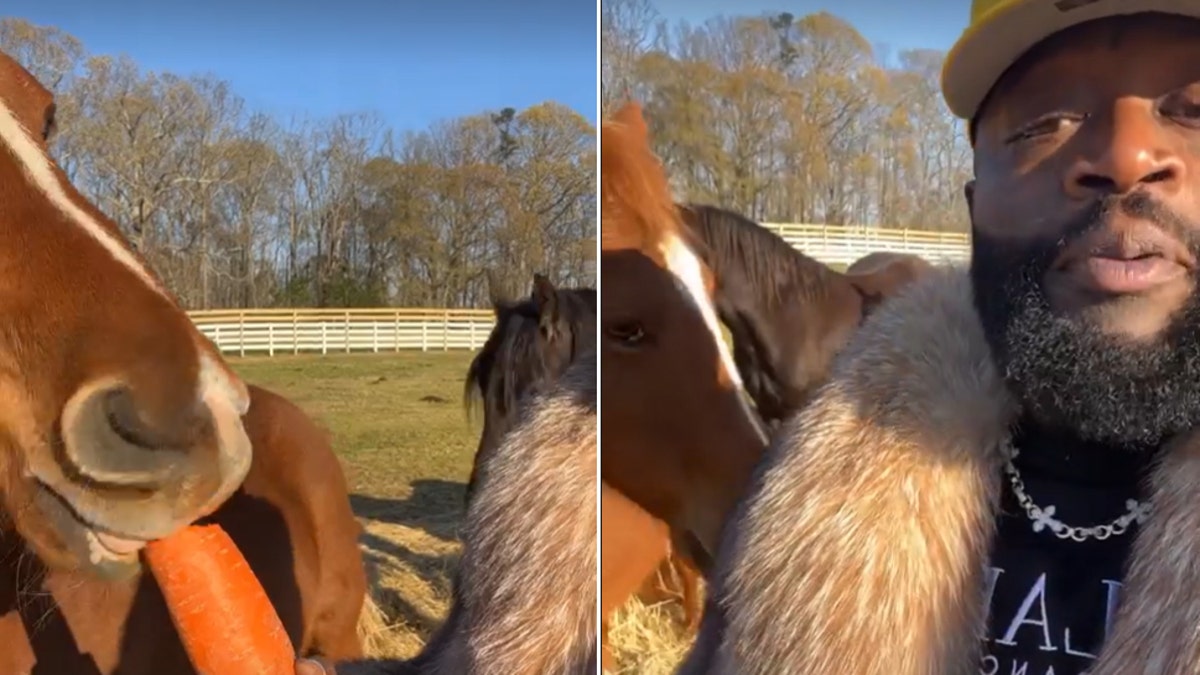 Rick Ross feeding a horse a carrot