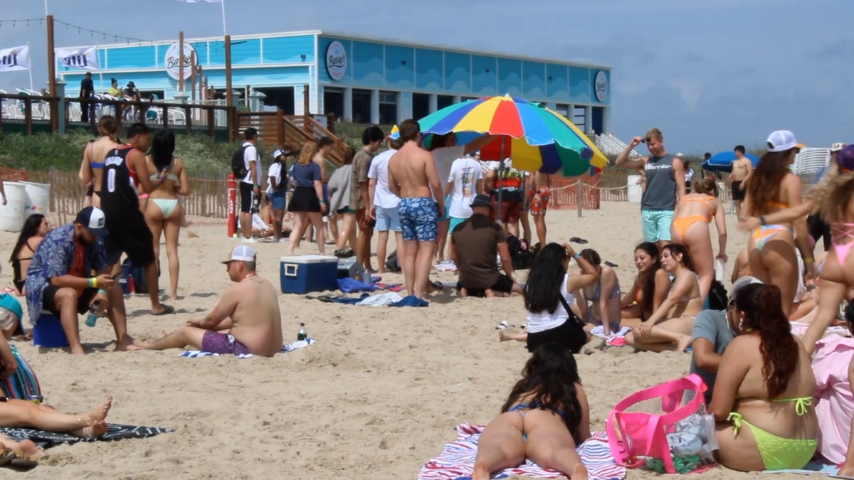 Hundreds of college students relax on the beach in South Padre. 