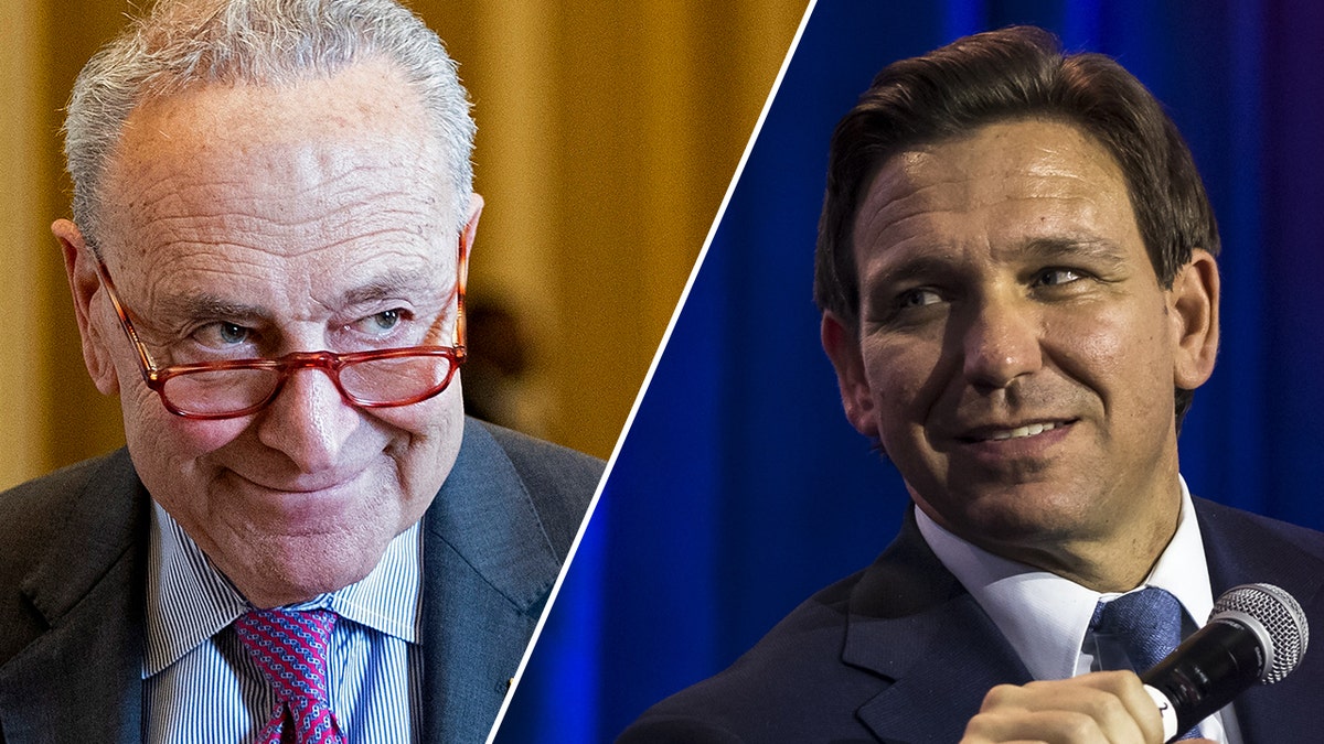 Schumer, DeSantis