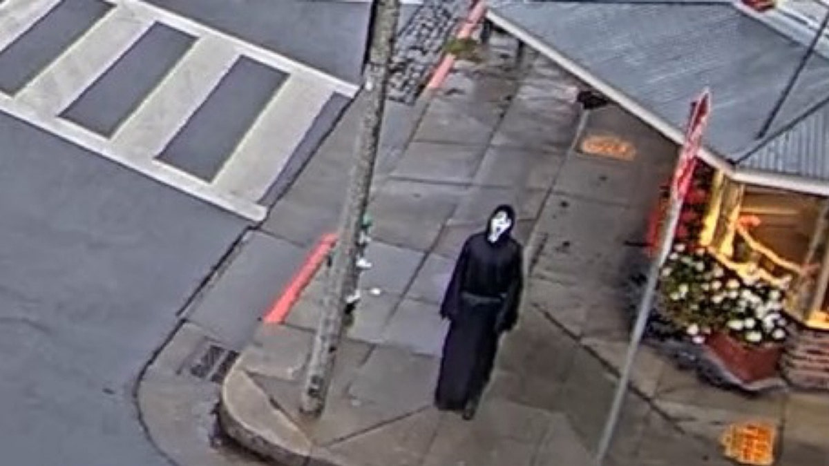 man dressed up as the ghostface killer