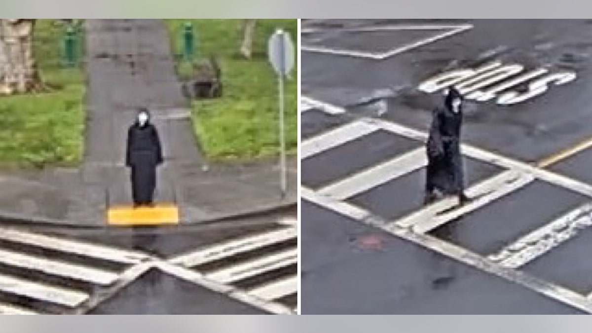 man dressed up as the ghostface killer on sidewalk