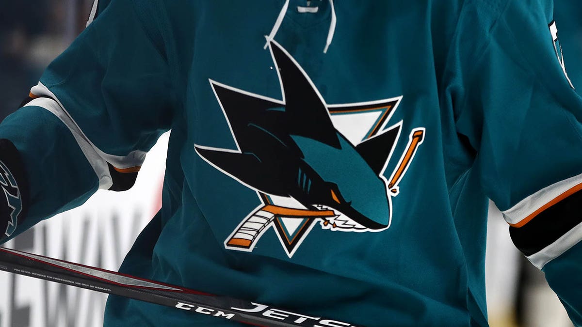 Sharks Goalie James Reimer Declines to Wear Pride Jersey – NBC Bay