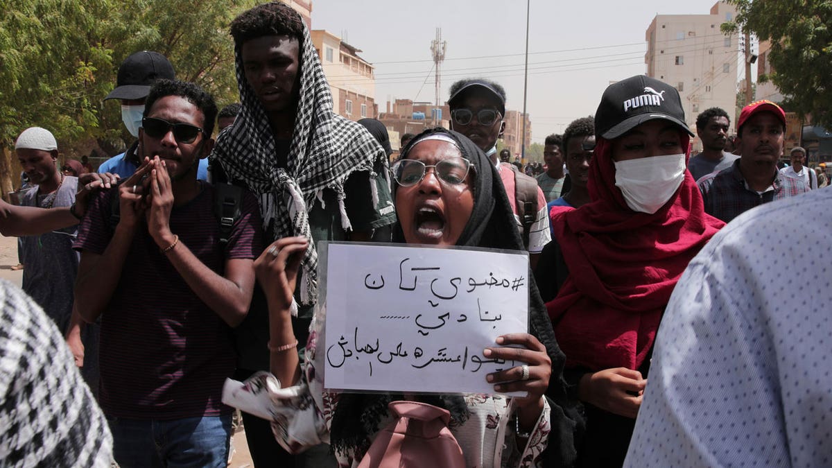 Sudan protestors