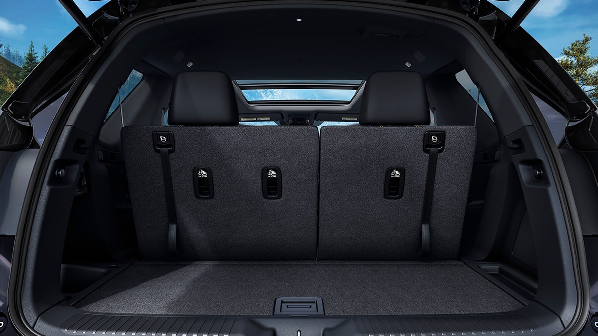 trailsport cargo