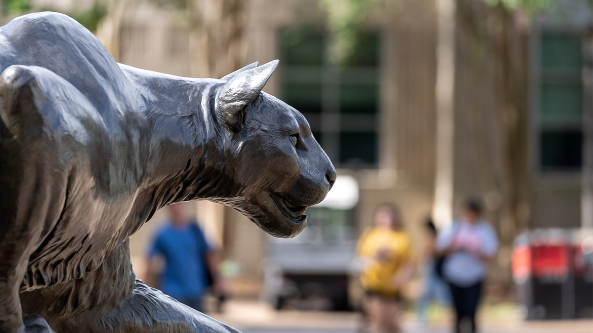 University of Houston mascot