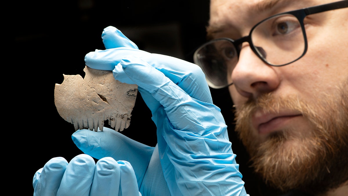 bone comb - made from skull