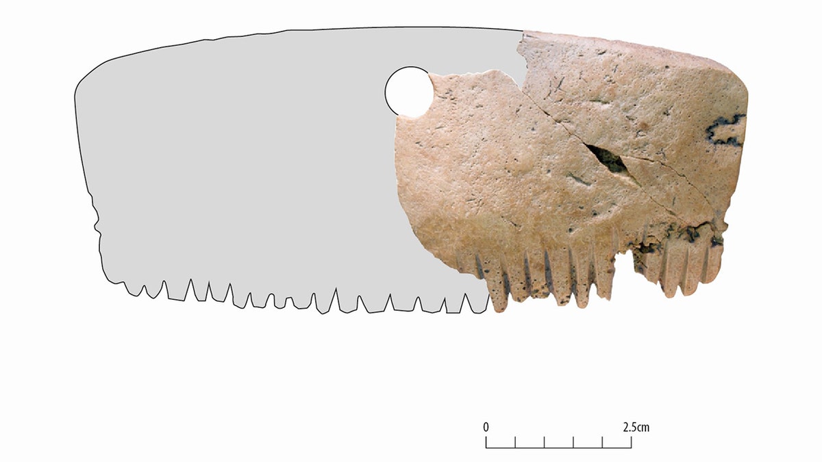 comb made from human skull being measured.