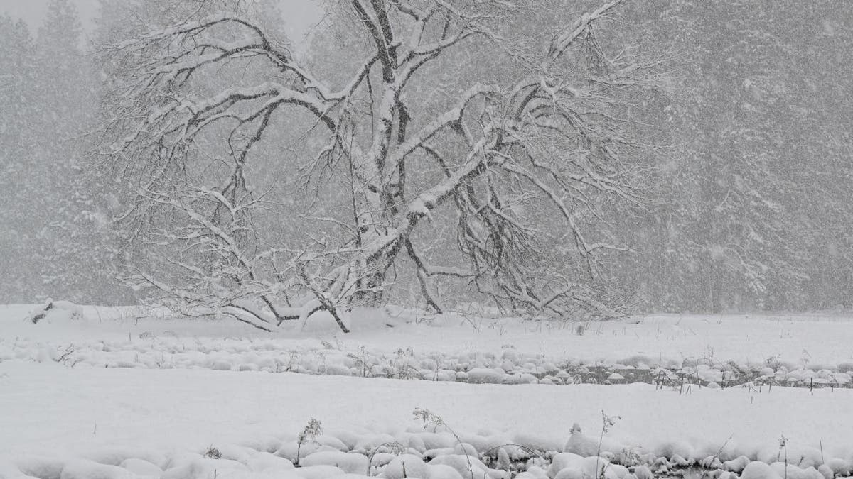 Yosemite winter storm