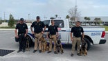 Four dog handlers with the PCB police department standing with their K9 dogs on leashes in front of a police truck