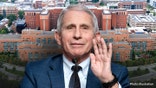 Dr Anthony Fauci NIH oped illustration