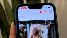 Secret iPhone gestures you need to know