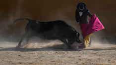 Colombia set to vote on bullfighting ban in the coming weeks