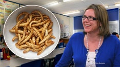 Utah school gives kids 'disgusting' insects to eat in class for climate assignment on cows killing the Earth