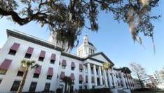 Florida GOP lawmakers advance 6-week abortion ban with some exceptions: 'a policy that supports life'