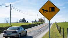 2 Amish children killed, another seriously injured in Michigan buggy accident