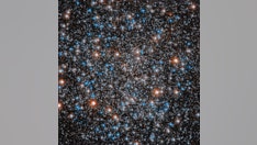 New star-studded Hubble image shows globular star cluster about 20,000 light-years away
