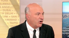 Shark Tank's Kevin O'Leary calls AOC ‘great at killing jobs,' blasts blue states as 'uninvestable'