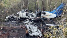 Fiery Florida plane crash leaves couple, dog severely injured: 'Quite terrifying'