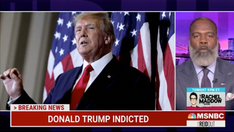 MSNBC analysts rejoice over Trump indictment: 'All of us should be happy the system is working'