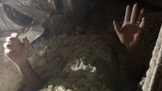 Florida man hides in insulation debris to evade arrest for alleged burglary: 'Stuck in an itchy situation'