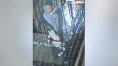 New York City suspect forced young woman into stairwell, raped her: police