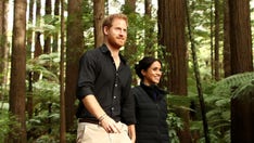 Prince Harry admits psychedelic drugs helped him 'deal with the traumas' of the past