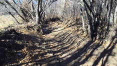 New Mexico communities begin clearing water canals of heavy debris following devastating wildfire