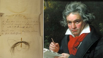 DNA from Beethoven's hair reveals new details into his death