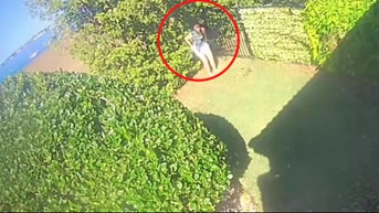 Authorities looking for 'spring break squatter' caught on home surveillance video