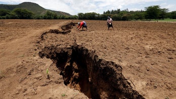 New ocean could form in Africa as continent continues to split apart