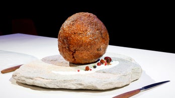 Dutch researchers make giant meatball using mammoth DNA