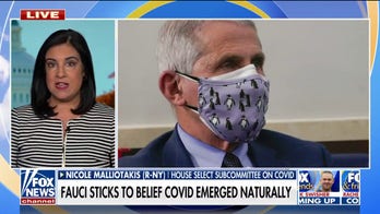 Dr. Fauci could be at center of 'one of the biggest cover-ups in American history,' says Rep. Malliotakis