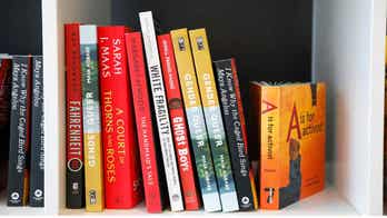 Library book bans in US schools appear to target LGBTQ themed books, residents say