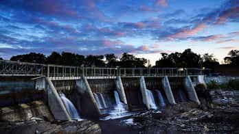 Government rules last wild Atlantic salmon in country can coexist with Maine's hydroelectric dams