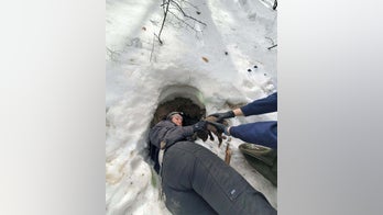 New Mexico seeking ‘professional bear huggers’ for new job opening