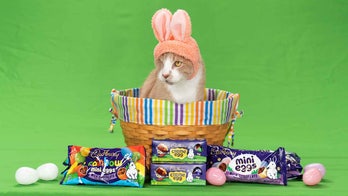 In time for Easter, cat with sad story wins Cadbury Annual Bunny Tryouts: 'Pawsome personality'