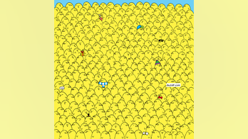 Brain teaser: Can you find 5 lemons hidden in the chick flock?