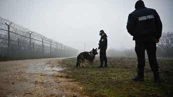 Europe's anti-torture monitor decries police, border guards that use dogs, violence to humiliate migrants