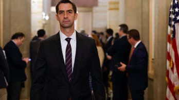 Sen. Cotton blasts Sec. Lloyd Austin over Iran proxy attack: ‘I don’t believe you’
