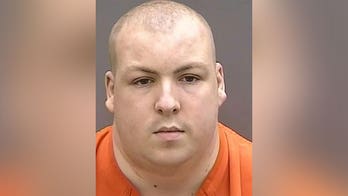 Florida man charged with possessing and distributing hundreds of child porn images and videos
