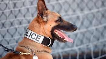 California bill would ban police dogs from arrests and crowd control, citing racial bias, trauma