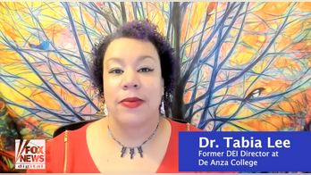 DEI director alleges being ousted for challenging gender-neutral language: 'Had never heard these terms'