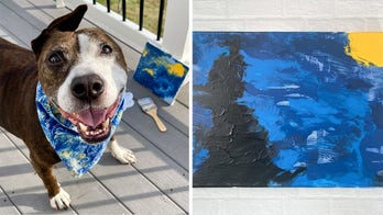 Van Gogh, the one-eared dog who 'paints' to end pet homelessness, gets $10K bid on 'Starry Night' at auction