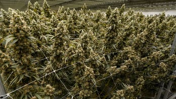 Medical marijuana proposal gains momentum in Kentucky