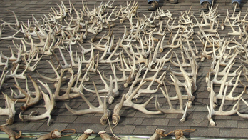 Kansas man stumbles on human skeleton while searching for deer antlers