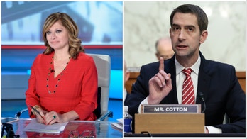Tom Cotton blasts Biden over SVB bailout, economic turmoil that created collapse: His 'failures all the way'
