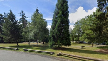 Human skull found at Seattle park prompts homicide investigation